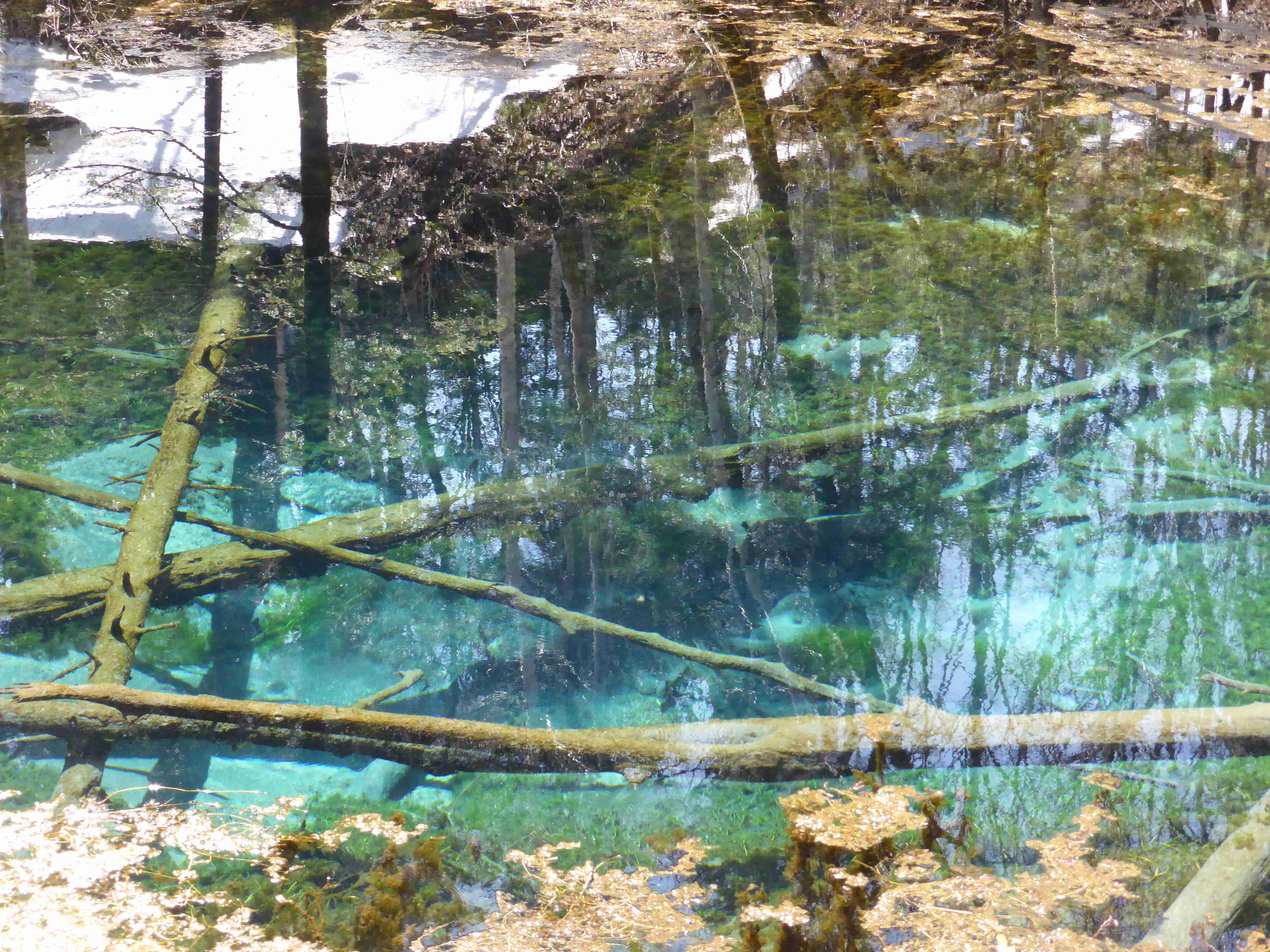🏞️ 신의 아이 연못 (카미노코이케) 이미지 8